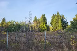 Vente terrain agricole Corneilla-la-Rivière Vente terrain agricole Corneilla-la-Rivière