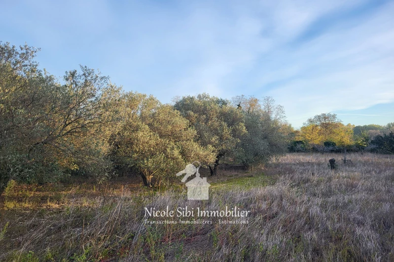 Vente terrain agricole Corneilla-la-Rivière Vente terrain agricole Corneilla-la-Rivière