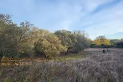 Vente terrain agricole Corneilla-la-Rivière Vente terrain agricole Corneilla-la-Rivière