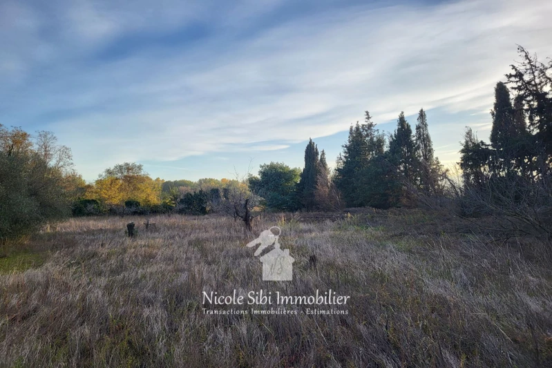 Vente terrain agricole Corneilla-la-Rivière Vente terrain agricole Corneilla-la-Rivière