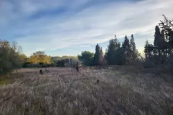 Vente terrain agricole Corneilla-la-Rivière Vente terrain agricole Corneilla-la-Rivière