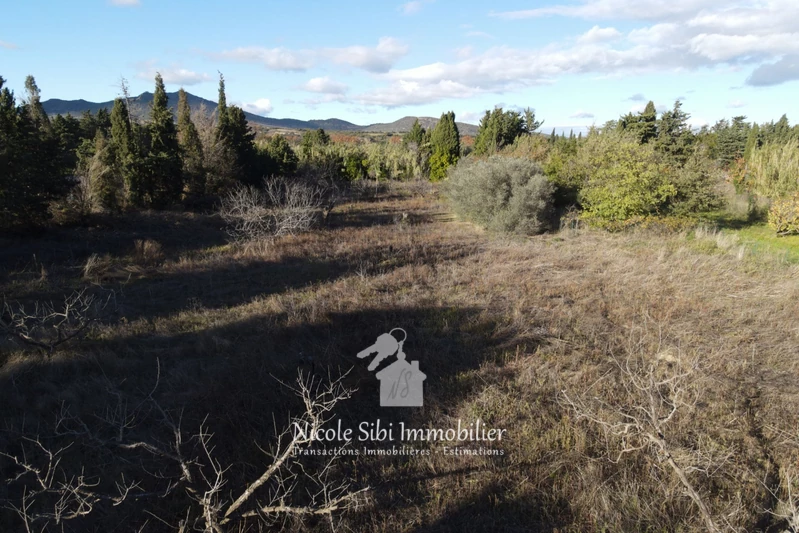 Vente terrain agricole Corneilla-la-Rivière Vente terrain agricole Corneilla-la-Rivière