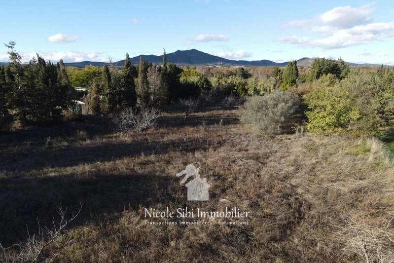 Vente terrain agricole Corneilla-la-Rivière Vente terrain agricole Corneilla-la-Rivière