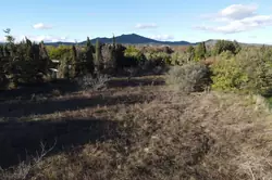 Vente terrain agricole Corneilla-la-Rivière Vente terrain agricole Corneilla-la-Rivière