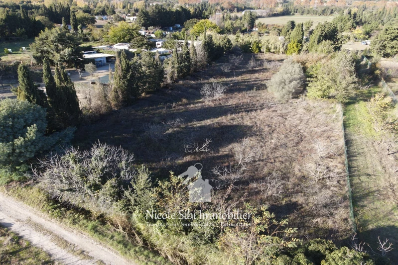 Vente terrain agricole Corneilla-la-Rivière Vente terrain agricole Corneilla-la-Rivière