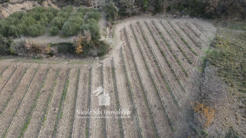 Vente terrain agricole Rodès Vente terrain agricole Rodès