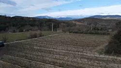 Vente terrain agricole Rodès  