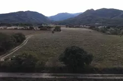 Vente terrain agricole Saint-André Vente terrain agricole Saint-André