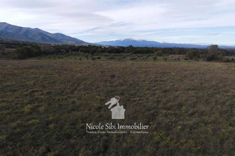 Vente terrain agricole Saint-André Vente terrain agricole Saint-André