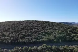Vente terrain agricole Rasiguères  