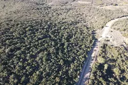 Vente terrain agricole Rasiguères  