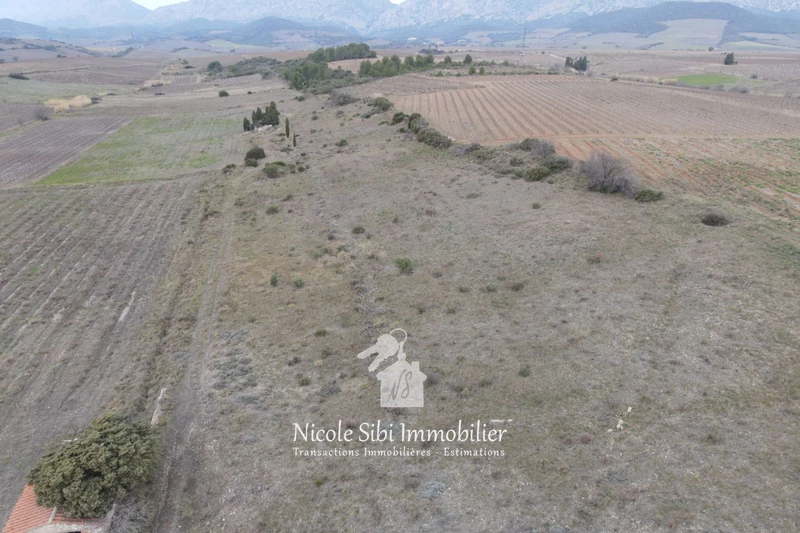 Vente terrain agricole Tautavel  