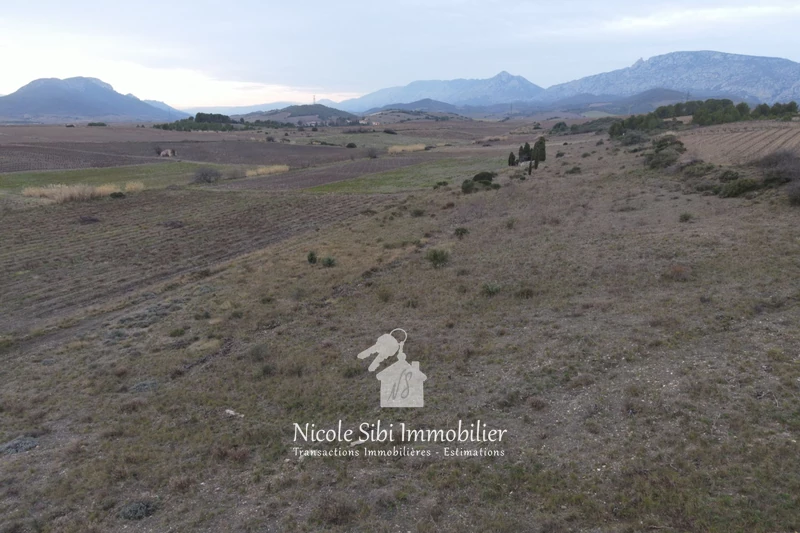 Vente terrain agricole Tautavel  