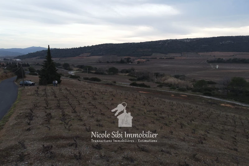 Vente terrain agricole Tautavel  