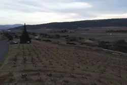 Vente terrain agricole Tautavel Vente terrain agricole Tautavel