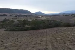 Vente terrain agricole Tautavel Vente terrain agricole Tautavel