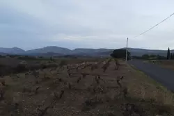 Vente terrain agricole Tautavel Vente terrain agricole Tautavel