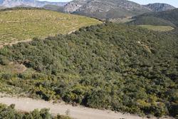 Vente terrain agricole Rasiguères  