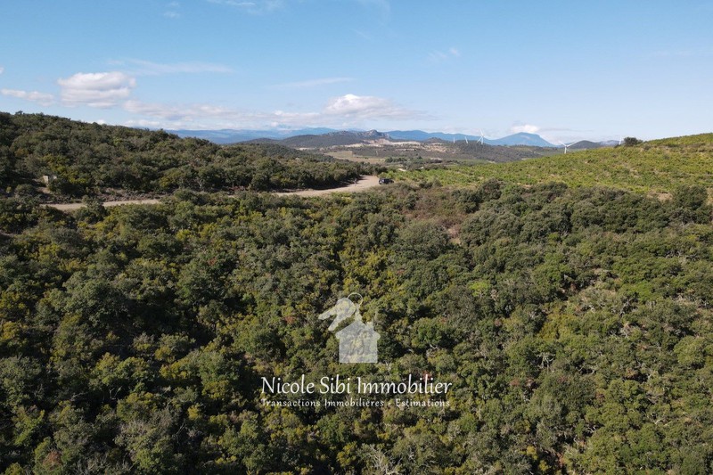 Vente terrain agricole Rasiguères  