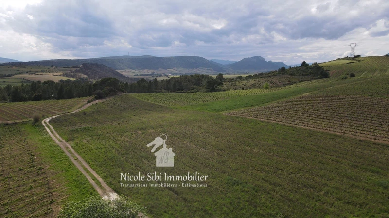 Vente terrain agricole Tautavel  