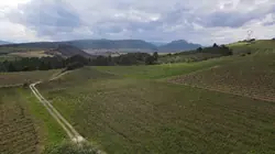 Vente terrain agricole Tautavel  