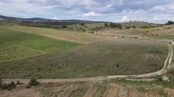 Vente terrain agricole Tautavel  