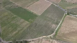 Vente terrain agricole Tautavel  