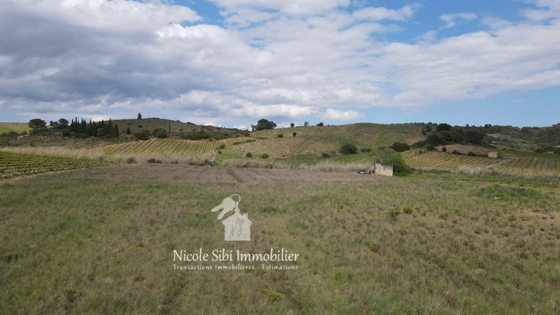 Vente terrain agricole Tautavel  