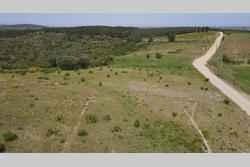 Vente terrain agricole Montauriol  