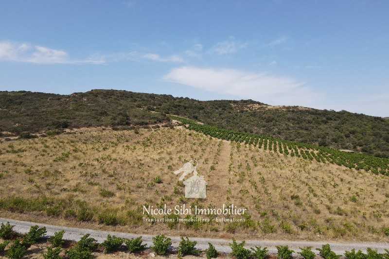 Vente terrain Rasiguères  