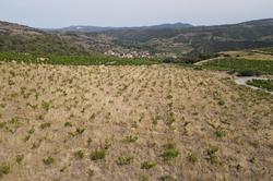 Vente terrain Rasiguères  
