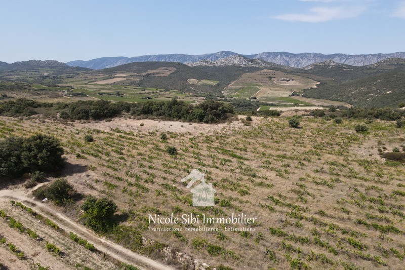 Vente terrain Rasiguères  