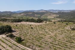 Vente terrain Rasiguères  