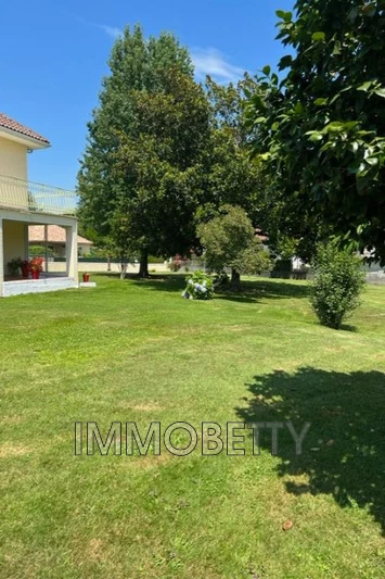 Vente maison Sauvagnon  