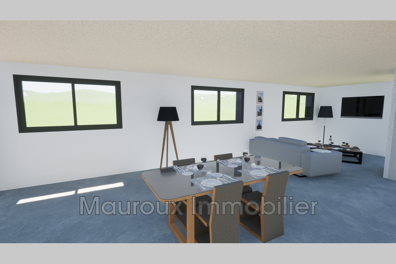 Vente villa Carcassonne  