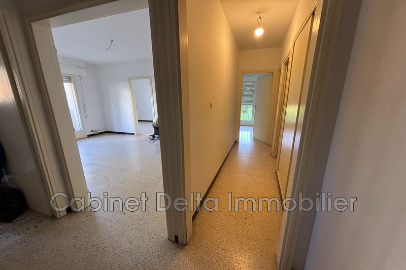 Photo n°7 - Location appartement Sanary-sur-Mer 83110 - 890 €