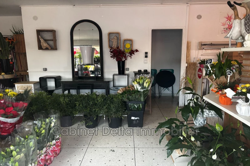 Professionnel boutique Six-Fours-les-Plages Professionnel boutique Six-Fours-les-Plages