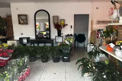 Professionnel boutique Six-Fours-les-Plages Professionnel boutique Six-Fours-les-Plages