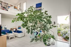 Vente maison Sanary-sur-Mer  