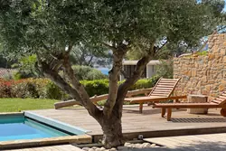 Vente villa contemporaine Sanary-sur-Mer  