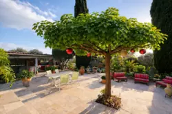 Vente maison Sanary-sur-Mer  