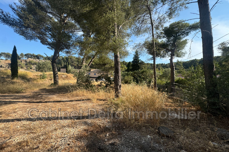 Photo n°2 - Vente terrain Ollioules 83190 - 260 000 €