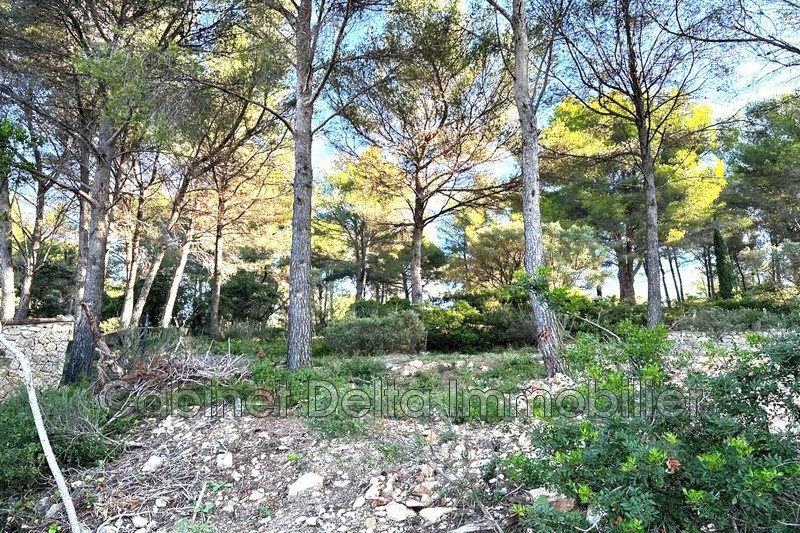 Photo n°2 - Vente terrain Sanary-sur-Mer 83110 - 490 000 €