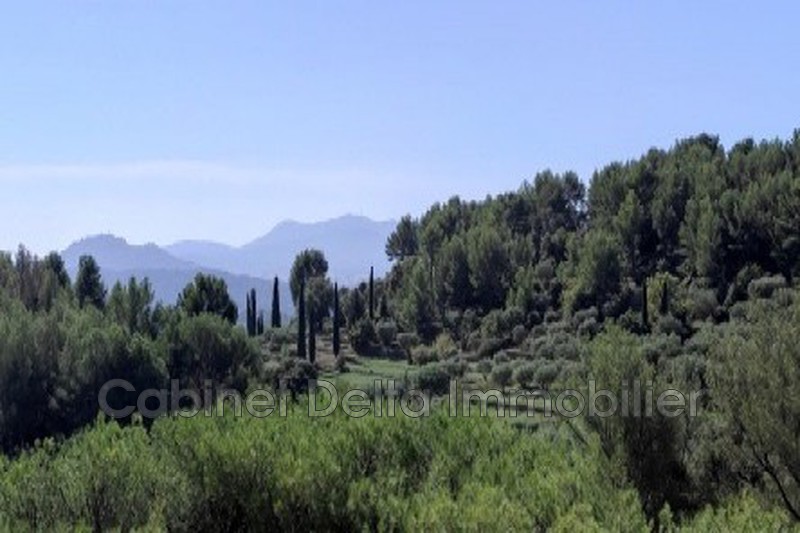 Photo n°3 - Vente Maison villa Sanary-sur-Mer 83110 - 1 390 000 €