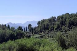 Vente villa Sanary-sur-Mer  