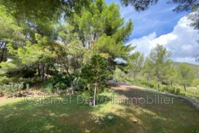 Photo n°11 - Vente Maison villa Sanary-sur-Mer 83110 - 1 390 000 €