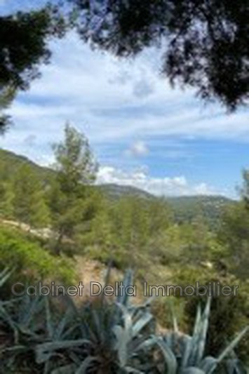 Photo n°12 - Vente Maison villa Sanary-sur-Mer 83110 - 1 390 000 €