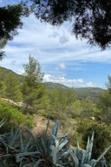 Vente villa Sanary-sur-Mer  