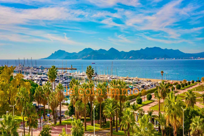 Vente appartement de prestige Cannes  