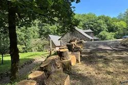 Location maison Egletons  